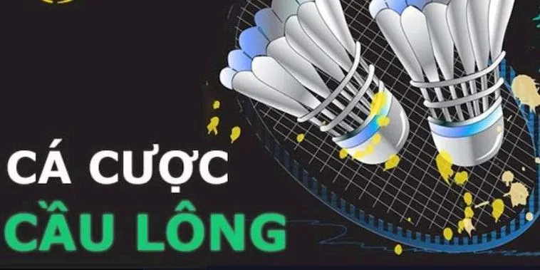 Cách Chơi Cá Cược Cầu Lông Tại Mig8: Hướng Dẫn Chi Tiết