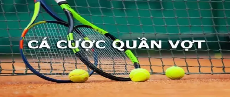 Cá Cược Quần Vợt Mig8: Sự Lựa Chọn Hoàn Hảo Cho Bạn